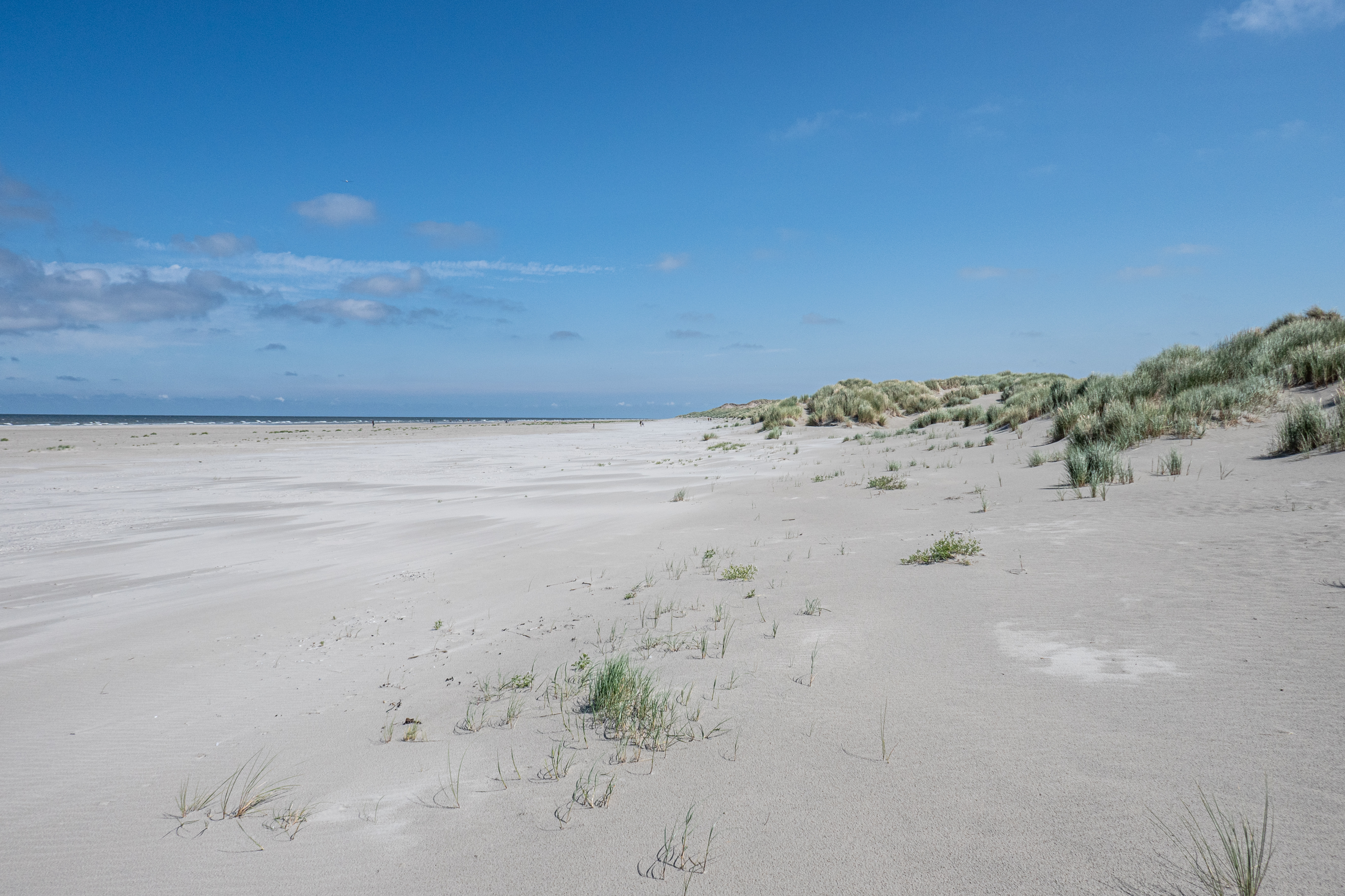 Terschelling